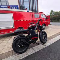 Vélo électrique de ville 500W avec frein à disque hydraulique électronique, cadre en acier inoxydable, assistance au pédalage, longue autonomie, roue de 22 pouces, Australie
