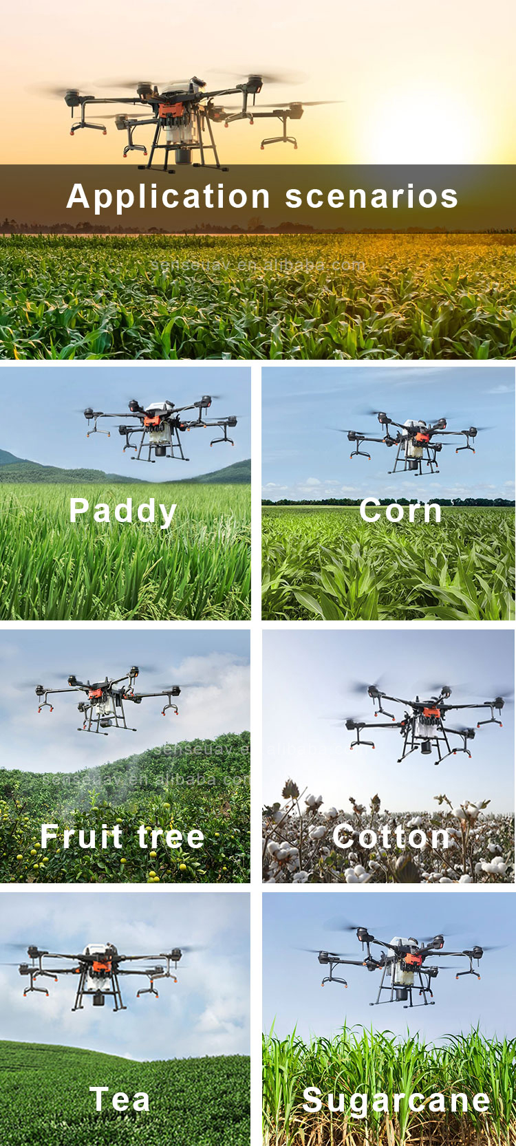 HS300 30L Agriculture Drone, Application scenarios senav eA merekc02 Paddy corn senseuav 