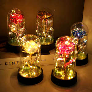 Bulk 2026 Eternal Glowing Rose Light Multi Occasion Gift for <strong>Valentine</strong> <strong>s</strong> <strong>Day</strong> Wedding Mother <strong>s</strong> <strong>Day</strong> - Product Image 1