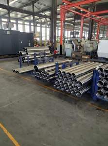 Cilindro Hidráulico para Rampa con Recorrido de 120 mm y Dirección Asistida - Product Image 2