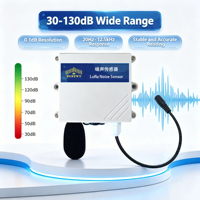 Capteur de bruit sans fil LoRaWAN 30-130dB Haute sensibilité Montage mural Surveillance environnementale industrielle