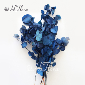 HFloral Wholesale Custom Natural Decorative Dried Bouquet <strong>Press</strong> the Leaves Preserved <strong>Flower</strong> Apple Leaf Eucalyptus - Product Image 5