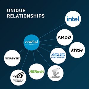 Original Crucial DDR5 Memoria <span class=keywords><strong>RAM</strong></span> <span class=keywords><strong>16GB</strong></span> 32GB 48GB 4800MHz 5200MHz 5600MHz Notebook Memoria SODIMM <span class=keywords><strong>Laptop</strong></span> - Product Image 5