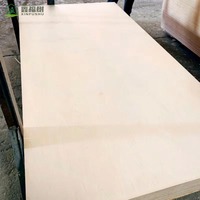 Contreplaqué en bouleau stratifié de 18 mm avec revêtement phénolique, qualité PREMIÈRE CLASSE, norme d'émission E0 pour meubles