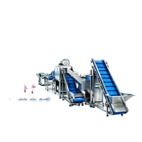 Machine à peler les légumes, l'ail et les oignons, ligne intégrée multifonctionnelle de tri et de pelage de l'ail