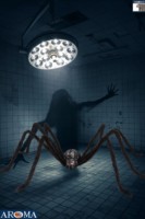 AROMA Araignée géante réaliste en fourrure noire de 63 pouces pour décorations d'Halloween, pour des présentations effrayantes, décoration intérieure ou extérieure, mur, balcon