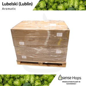 Hạt bia Lublin cấp thực phẩm, có hương thơm đậm và hàm lượng axit alpha 3-5%, dùng cho sản xuất bia và đồ uống. - Product Image 6