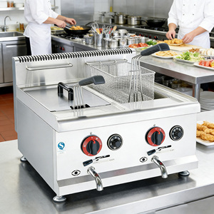 Friteuse à gaz professionnelle à double cuve en acier inoxydable pour comptoir, certifiée CE, pour restaurants de frites et poulet frit, avec système d'égouttement d'huile - Product Image 2