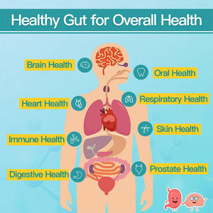 Probióticos para Mujeres, Salud Vaginal, Salud Intestinal, Salud del Tracto Urinario, Apoyo Digestivo, Equilibrio Hormonal, Equilibrio del pH - Product Image 5