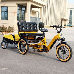 Vélo <span class=keywords><strong>cargo</strong></span> électrique pour passagers, tricycle électrique pour passagers, pédicab, rickshaw, vélo-taxi, vélo à assistance pédale, vélo à trois roues - Product Image 1