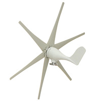 Éolienne domestique ESG 12V 24V 100W 300W 500W 800W Générateur d'éolienne Vawt Prix Mini éolienne