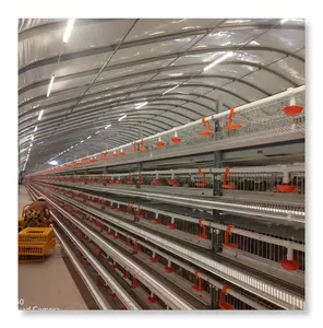 Automático tipo H capacidad de codorniz 800 pájaros galvanizado huevo cría capa jaula de codorniz para la venta