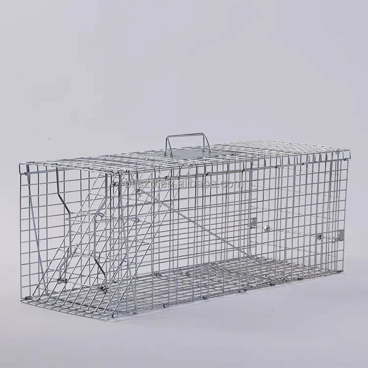 Cage de piège avec verrouillage automatique sauvetage sans cruauté chien errant cage de chat errant d'usine
