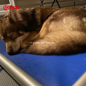 Cama de aluminio para perros, camas para mascotas, marco de cama de aluminio elevado a prueba de masticación de lujo portátil para perros, cama de cuna para perros con refrigeración elevada - Product Image 4