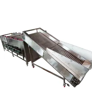 fruit grader apple fruit automatic sorting round fruit vegetable sorting grading machine