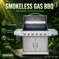 Parrilla de Gas de Acero Inoxidable al por Mayor, 6 Quemadores, Asador para Exteriores, Logotipo Personalizado OEM de Fábrica