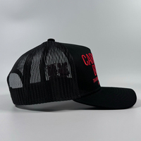 Gorra de béisbol de red de moda al aire libre OEM para adultos con bordado sombreros de camionero de perfil alto personalizados gorra de malla de alta calidad 5 paneles