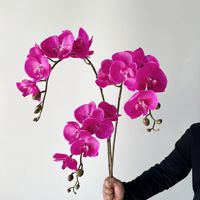 Anggrek Phalaenopsis 'Anna' yang Mirip Asli dengan 7 Bunga Besar, Lembut, dan Menyerupai Karet/PVC, Cocok untuk Meja TV Ruang Tamu yang Elegan