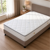 Matelas Silent Spring, style hôtel et gîte, matelas respirant matelassé blanc