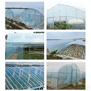 Film de couverture en plastique <span class=keywords><strong>pour</strong></span> <span class=keywords><strong>serre</strong></span> agricole renforcé résistant aux UV AGG 200 micromètres, plaque PC Anhui Large - Product Image 2