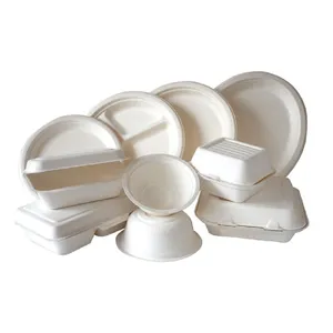 Bagasse Containers Take Away Biodegradable Disposable Sugar Cane Tableware Products Sugarcane Bagasse Food Container Packaging