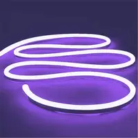 Neon LED-Licht leiste 16,4 Fuß/5m 12V DC 600 SMD2835 LEDs Wasserdichtes flexibles LED-NEON-Licht für den Innenbereich im Freien Dekor Lila
