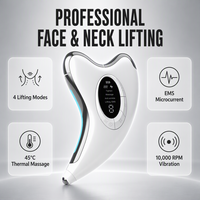 Appareil de micro-courant OEM, masseur facial électrique Guasha, anti-rides pour les soins de beauté à domicile