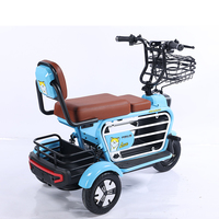 Vente en gros de tricycles électriques pour personnes âgées, modèle M1, vélo à 3 roues, scooter électrique miniature à trois roues pour adultes, pas cher
