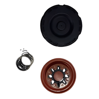 LR133579 C2D60163 D4 Kit Servis Katup PVC untuk Land Rover Kit Servis Katup PVC RRS Kit Servis Katup PVC