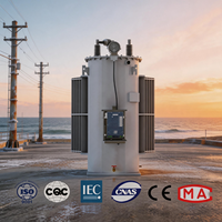 Régulateur de tension automatique monophasé immergé dans l'huile 14,4KV 19,9KV monté sur poteau pour l'industrie minière