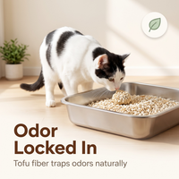 Sable pour animaux de compagnie biodégradable à faible teneur en poussière, à forte adsorption, à particules fines broyées, à contact total, à fixation instantanée de l'eau et neutralisation des odeurs