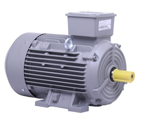 Machine à Briques INNOMOTICS Moteur Triphasé 3KW 5.5KW 400V/50Hz 4 Pôles Protection IP55 Efficacité IE3 Montage au Sol Entièrement - Product Image 2