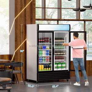 Réfrigérateurs à boissons, réfrigérateur vertical, <span class=keywords><strong>vitrine</strong></span> commerciale en verre, <span class=keywords><strong>vitrine</strong></span> réfrigérée ventilée, refroidissement direct, 110V - Product Image 5