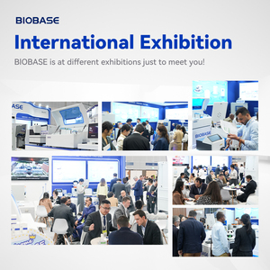 Microscopio Biológico Óptico de Precisión Biobase China para Observación de Secciones Biológicas y Células, Cultivo de Tejidos Vivos y Bacterias - Product Image 5