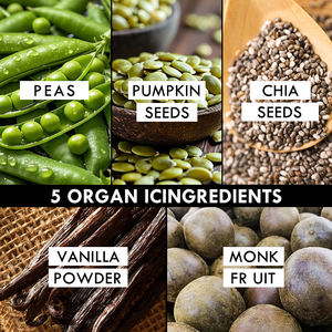 Proteine vegane di piselli in polvere proteine vegetali organiche a basso contenuto di carboidrati senza latticini 18 porzioni di vaniglia sapore senza zuccheri aggiunti per la dieta cheto - Product Image 2