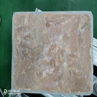Congélateur IQF en acier inoxydable de qualité alimentaire, machine de congélation rapide par contact pour usine de transformation de fruits de mer, de bœuf et de crevettes