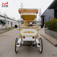 Vente en gros de calèches électriques, calèches de mariage électriques, calèches électriques de style européen pour la visite des monuments
