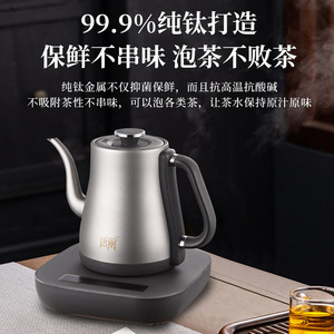 Hervidor Eléctrico Tang Zhou de 250 ml, Cuerpo Metálico, Control de Temperatura Constante, Uso Doméstico - Product Image 5