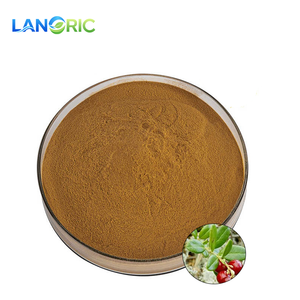 高品質天然食品グレードビルベリー葉エキス粉末、ハックルベリー葉エキス粉末 - Product Image 1