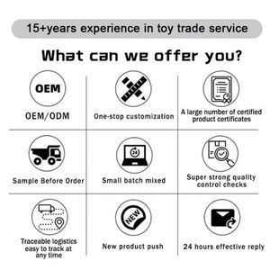 Juguetes de Peluche Personalizados para Bebés y Niños, Rellenos de Algodón PP Súper Suave, Tamaños Personalizados, Diseño de Anime - Product Image 5