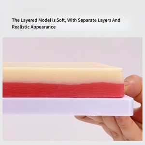 3-שכבות סיליקון אימון רפואי מודל עבור תרגיל כירורגי ותחום בתחום הרפואה - Product Image 4