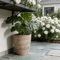 Ensemble de pots à fleurs en céramique de style américain, texture côtelée, beige, écologique, durable, finition émaillée, pour la maison, l'intérieur, l'extérieur, le jardin