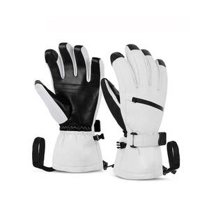Guantes de Esquí Profesionales Unisex de Poliéster Impermeables, Térmicos para Invierno, Personalizados, para Snowboard y Moto de Nieve, con Guanteleta Larga - Product Image 1