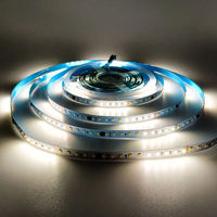 Bande LED intelligente monocouleur pour extérieur, IP20, télécommande, 120 LED, effet d'eau courante, contrôleur 24V