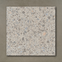 Sol de salle de bain pas cher, Terrazzo mat antidérapant émaillé, carreaux d'intérieur en porcelaine rustique