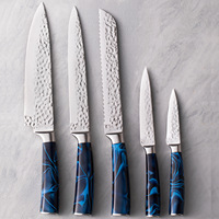 Ensemble de couteaux de chef en acier inoxydable de haute qualité avec lame martelée et manche en acrylique, planche à découper noire écologique incluse