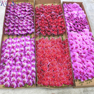 Hoa Lan Nhân Tạo Hoa Nhựa Giả Cây Thật Cảm Ứng Đám Cưới Bướm Phong Lan Trang Trí Nhà - Product Image 2