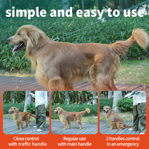 Dubbele schokabsorberende hondenriem met reflecterende heuptas voor handsfree hondenlopen, geschikt voor grote honden en buitenactiviteiten - Product Image 4