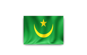 <span class=keywords><strong>Bandera</strong></span> rectangular voladora de calle <span class=keywords><strong>Bandera</strong></span> de <span class=keywords><strong>Mauritania</strong></span> stock de fábrica envío rápido - Product Image 6