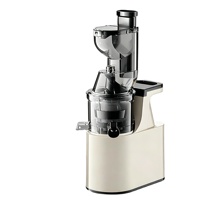 Industriële hydraulische automatische fruit- en ciderpers, hydraulische druivensap-wijn-koudpersmachine voor sap